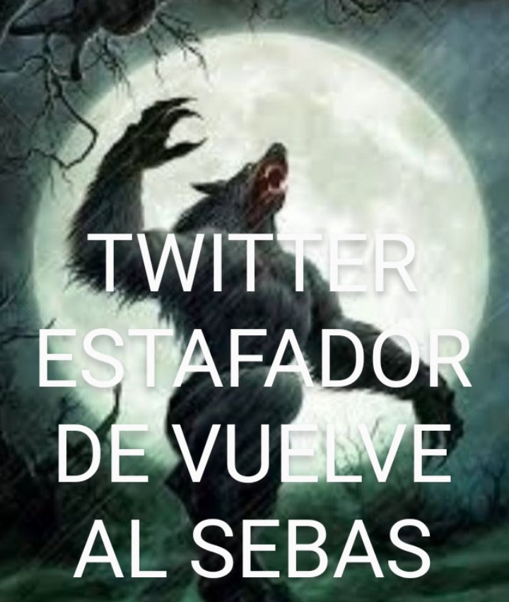 AuronC1Own's tweet photo. HOLA A TODOS DE NUEVO 🥰🫂 SOY SEBAS (@AuronCl0wn) EH VUELTO EN ESTA CUENTA POR FAVOR RT 🔄 Y FAV ♥️ PARA LLEGAR CON MIS MUTUALS 💙💙💙 https://t.co/isz2JRG1JF