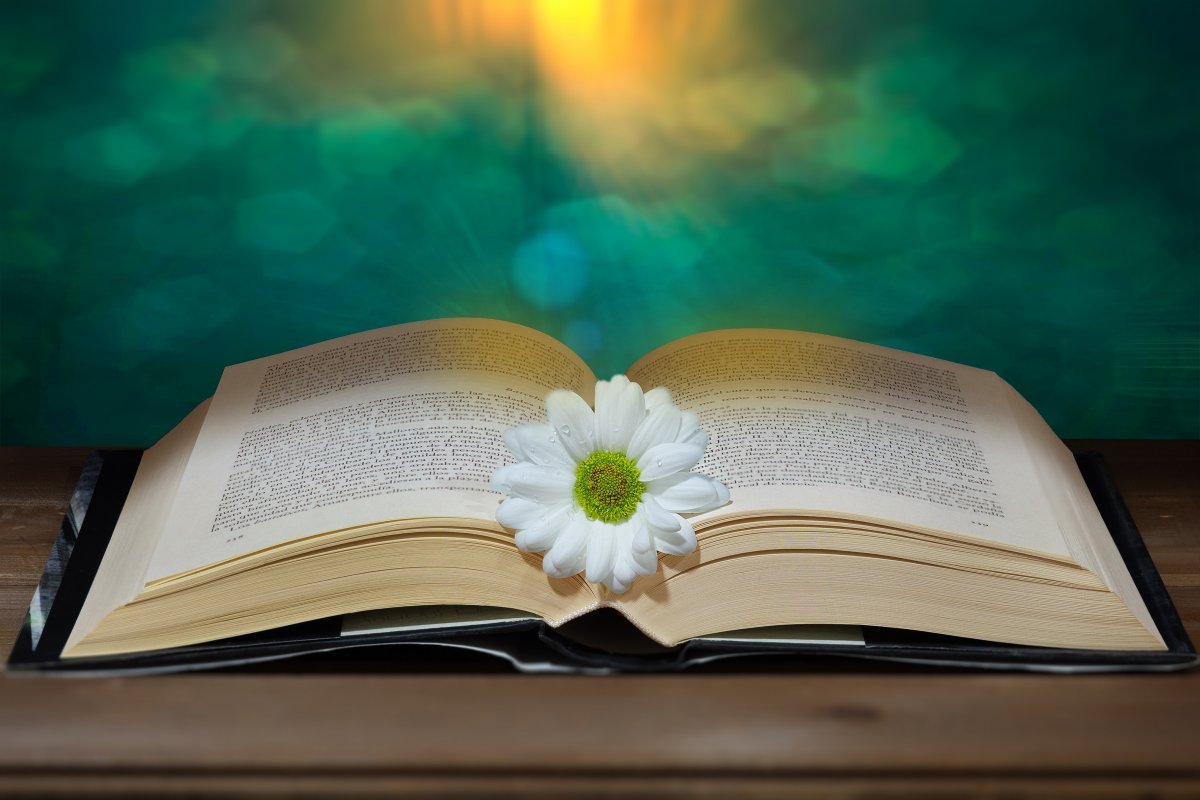 LittleFreeBooks tweet picture