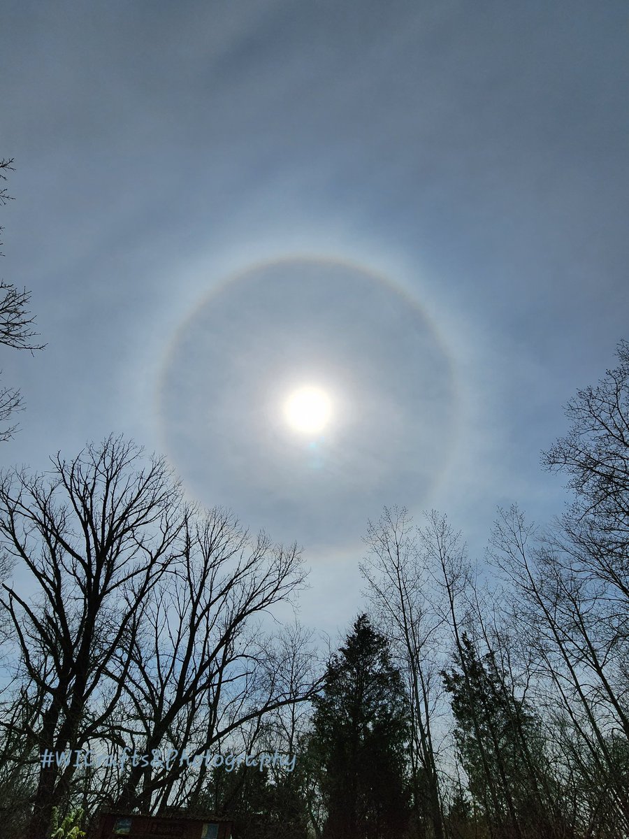 A solar halo in East Troy, WI. Taken 4/9/23 📷:me. #Wisconsin #wiwx 
@StephanieAbrams @JimCantore @ReynoldsWolf @JenCarfagno @Paul_Goodloe 
#getintotheoutthere