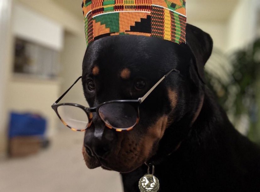 ToyaPlease's tweet image. Why wouldn’t they be?