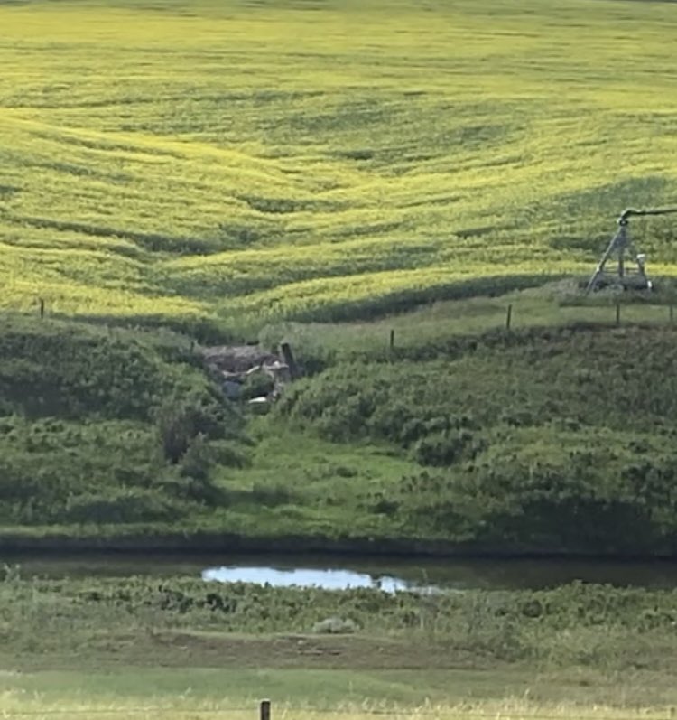 Sask_F7's tweet photo. Today vs last summer. #springmelt https://t.co/2KS3GS4OW0