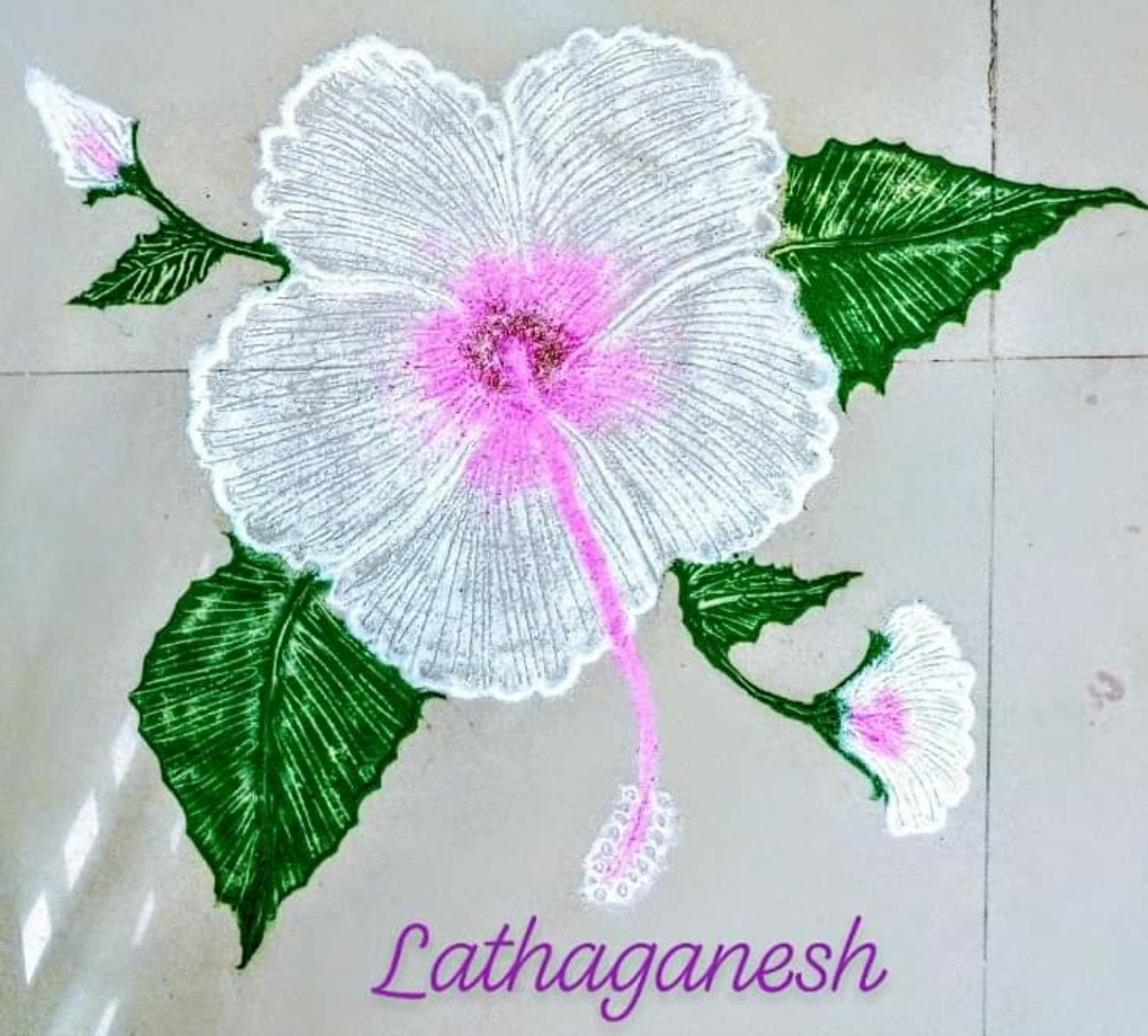 Latharangoliart's tweet photo. HAPPY DAY FRIENDS
#whitehibiscus #threestages #bud #ArtistOnTwitter
#blooming #flower #positivity
#tuesdayvibes #art #artoftheday
My rangoliart using colour rangoli powder. Kindly share your valuable feedback https://t.co/kppm6sm68L