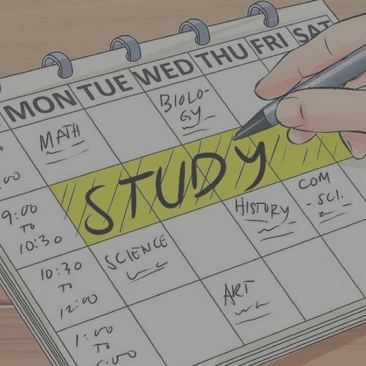 studyhstwt's tweet image. #studytwtbr #studytwtbr 

oii, sou nova no studytwt!! 

- anna, 19 anos 
- ela/dela
- 1 semestre de administração
- maior foco é me organizar com o auxílio dessa conta 
- estudo inglês em casa e esse ano meu foco maior é nisso também!