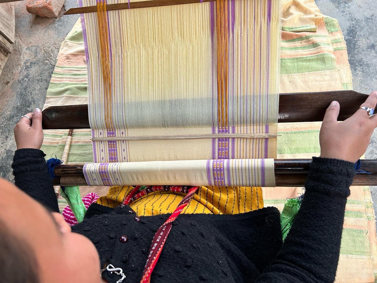PIRBI2's tweet photo. Stella is a school teacher and a micro-entrepreneur, she runs a small shop with her husband. She shares the loom with her mother, set up outside the shop and both alternate in making of the ‘Pini’, lower part of a Karbi woman’s garment. 

More about blackstrap weaving later. https://t.co/niz45M1HBc