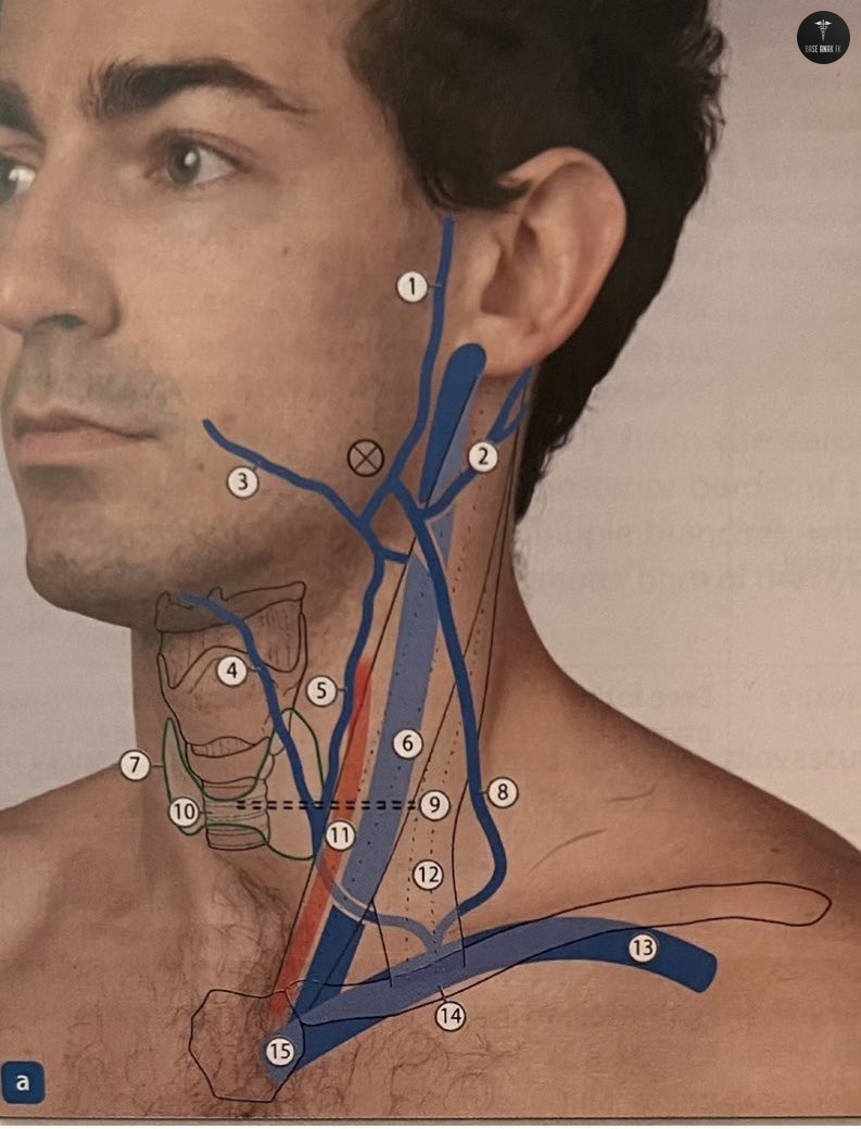 BaseAnakFK's tweet image. hapalan time dok! sebutkan nomor 6 dan 8!