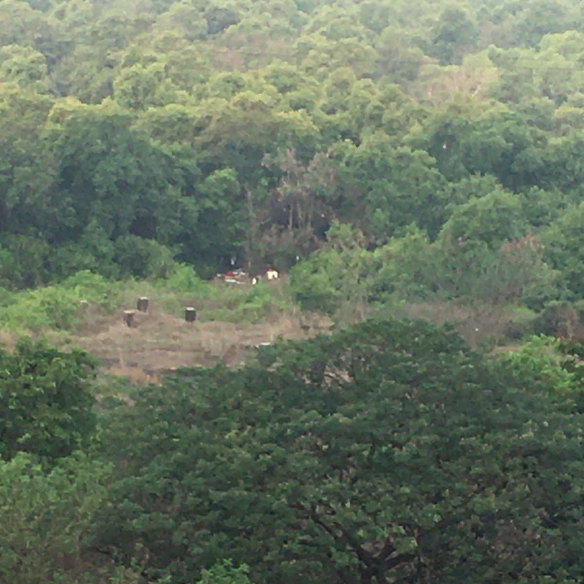 Jitendr47183080's tweet photo. Action needed,overnight #Mazar /samadhi/activity at #mangroves #Palmbeach #Sanpada #navimumbai #cidco @PIBMumbai @DGPMaharashtra @CpNavimumbai @Navimumpolice @NaviMumbaiWetl1 @NaviMumbaiCity @NaviMumbaikars @HeadstartNM @navimumbaiplus1 @MyNMquestions @NaviMumbaiVoice https://t.co/t0NOpeGUsB