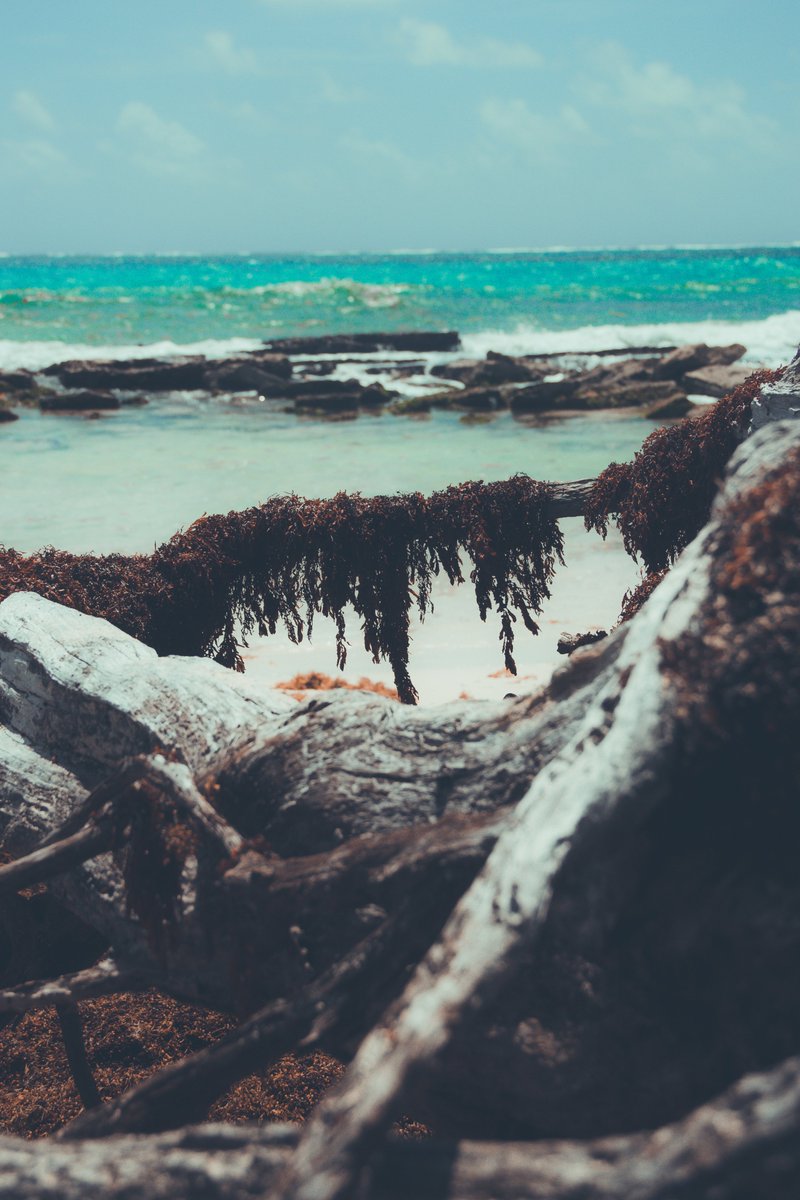 Testing Preset i created 

Viscotty Haze [Crystal-Mist] #Barbados #Bajan #Streetphotography
