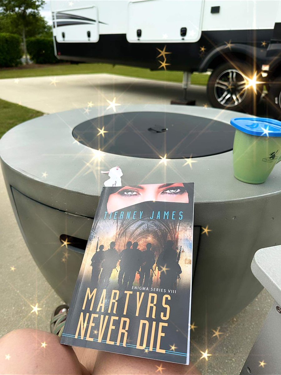 TierneyJames1's tweet photo. Just finished Invisible Goodbye🥲 If you haven’t read the Enigma Series you need to start! I have had every emotion magnified as I’ve read the series. I have learned so much about the culture and geography of so many places.   I am now starting VIII.  Deb Gromer review. https://t.co/jhgAYnZHZj