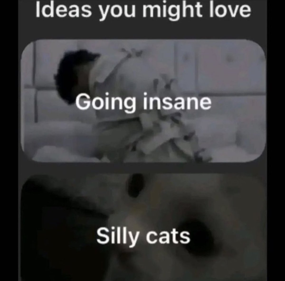 The Notorious J.O.V. (@whotfisjovana) on Twitter photo 