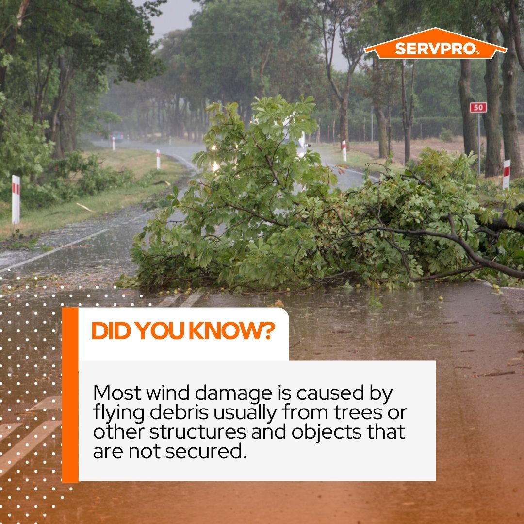 Did you know this? 🤔

If your home or business is impacted by wind damage during a storm, don't hesitate to give us a call. #winddamage #stormdamage #restoration #SERVPROofLC