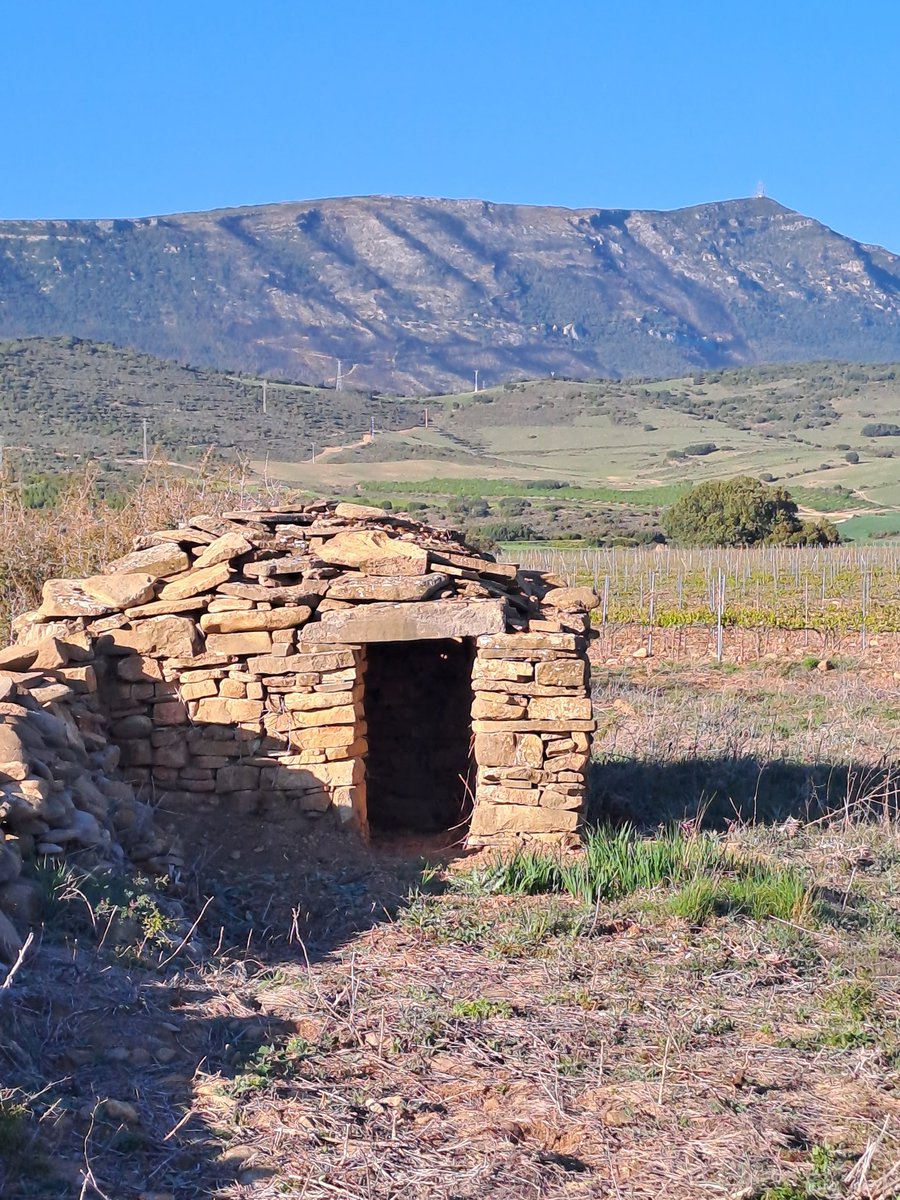 EL SABAIAO de Fernando Hualde tweet media