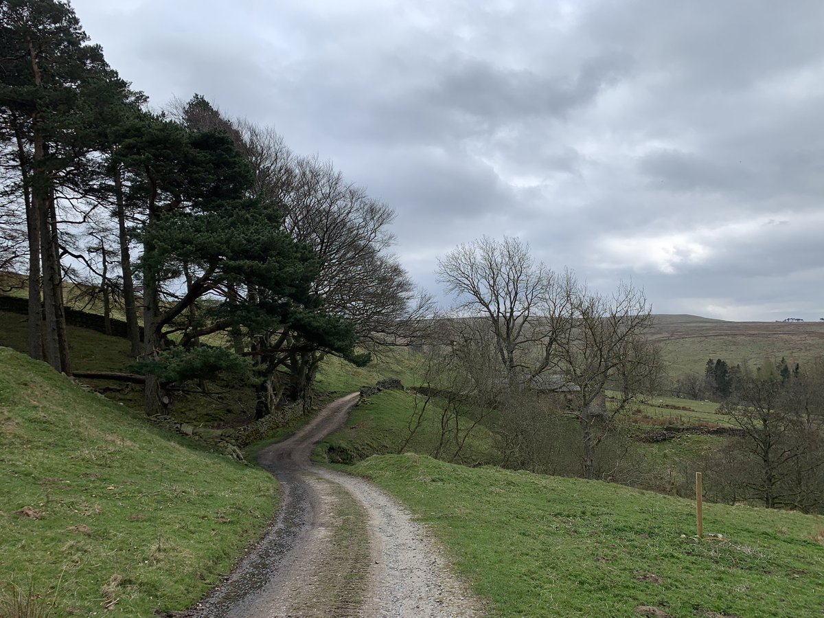 Amy L. George (@amyl_george) on Twitter photo It’s been a great start to the week at the <a href="/TrostLab/">Matthias Trost 🇪🇺</a> lab retreat, a very productive couple of days! 🧪💭 It’s been a great start to the week at the <a href="/TrostLab/">Matthias Trost 🇪🇺</a> lab retreat, a very productive couple of days! 🧪💭