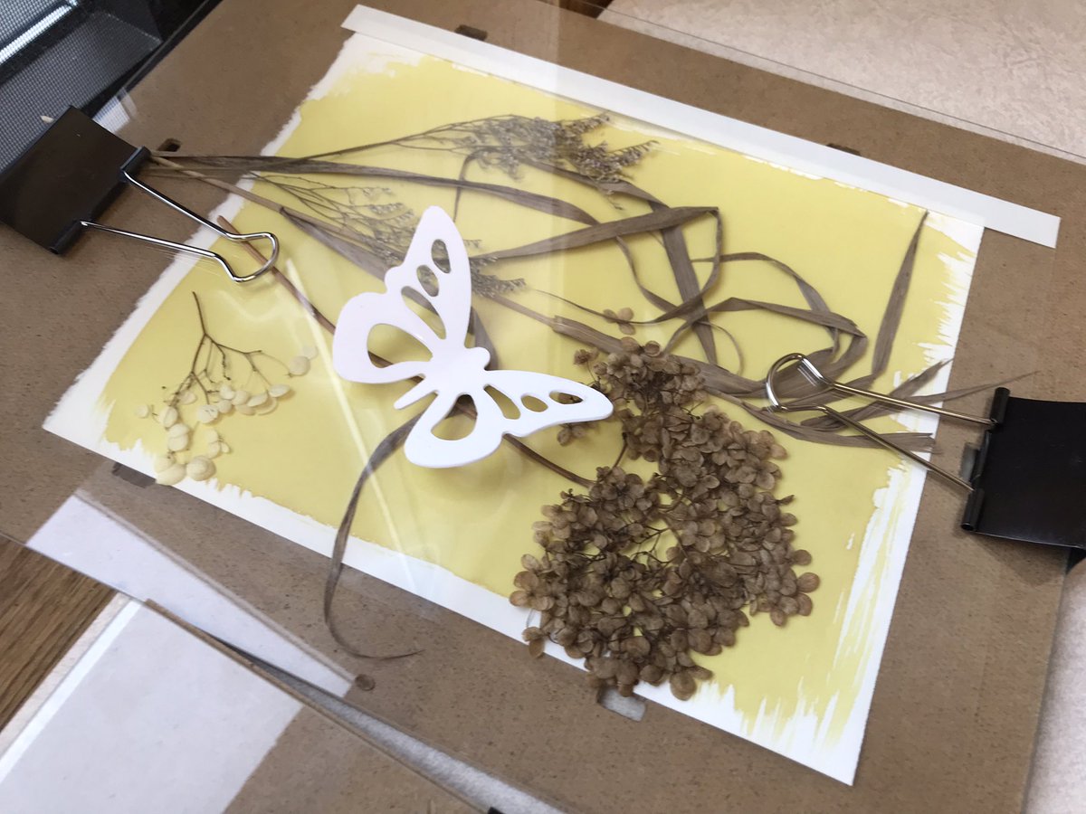 SusanGalbraith4's tweet photo. Fun with Cyanotypes in Miss Jen’s class today @SMA_School. Tomorrow we see the results! @ASD_West #CreateConnectCommunicate https://t.co/dshQG1gNLp