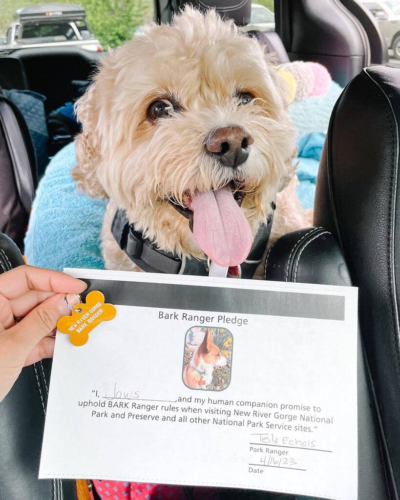 mgmros's tweet photo. Jaws: Road Trip: BARK Ranger edition 2023…
The proud BARK Ranger @newrivernps even though he didn’t really walk much because one of his paws started bothering him. We got a BARK Ranger tag and certificate from the Canyon Rim Visitor Center. https://t.co/ba4XGl0rg4 https://t.co/LKMYBXJQyx