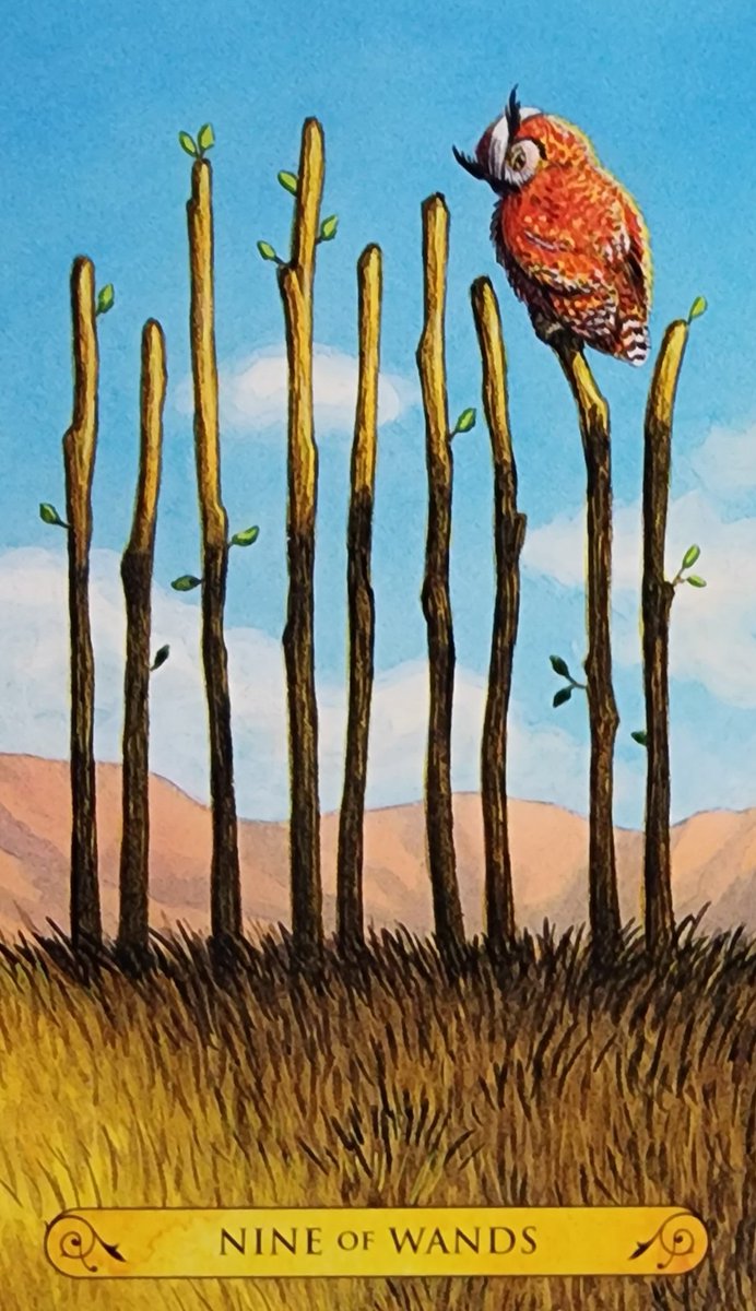 cardsandrocks's tweet photo. Fire signs: Aries ♈️ Leo ♌️ Sagittarius ♐️ 
Card of the day: 9 of Wands 🥢 You are passionate about what you are protecting, and you have the strength to see it through. Stay vigilant, what you are fighting for is within reach. 
#tarot #tarotoftheowls 🦉 https://t.co/mH15ilFwi2