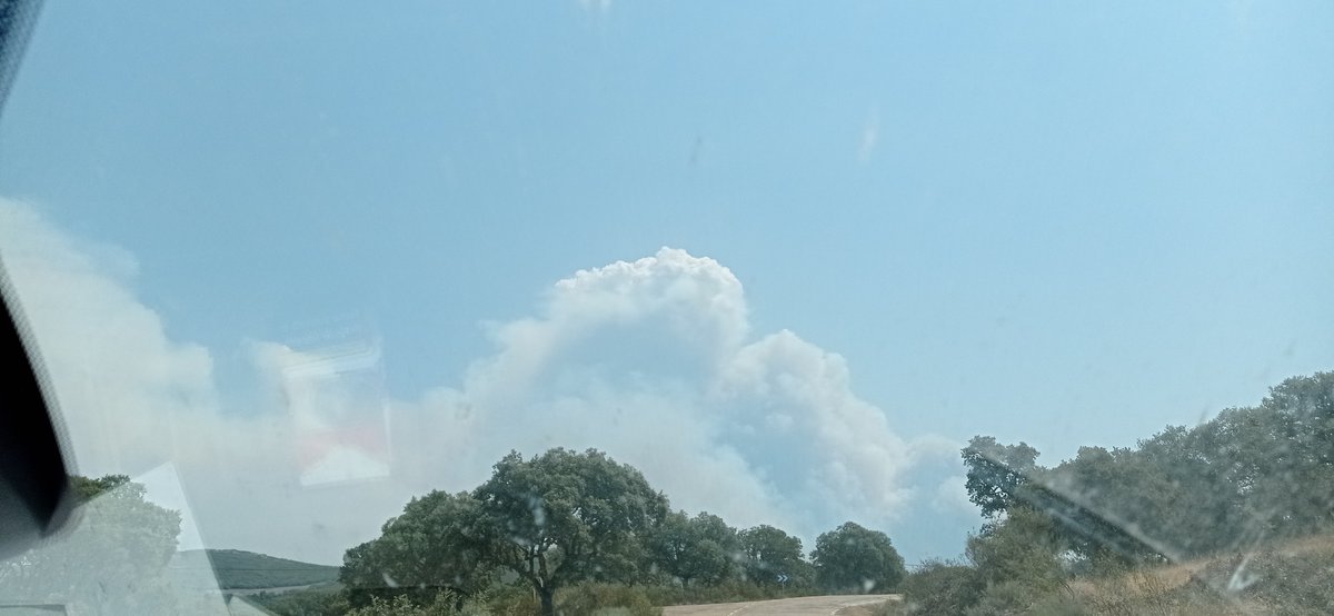WildlandFirefig's tweet photo. La tipología de incendios a que cada vez más nos enfrentamos. Hay que entender que NO se pueden combatir con agua. Se combaten con fuego y con maquinaría (dozers). ESTO-ES-ASÍ. Contar exclusivamente con "bomberos que tiren agua" NO-SIRVE. https://t.co/htxccVl8Z4