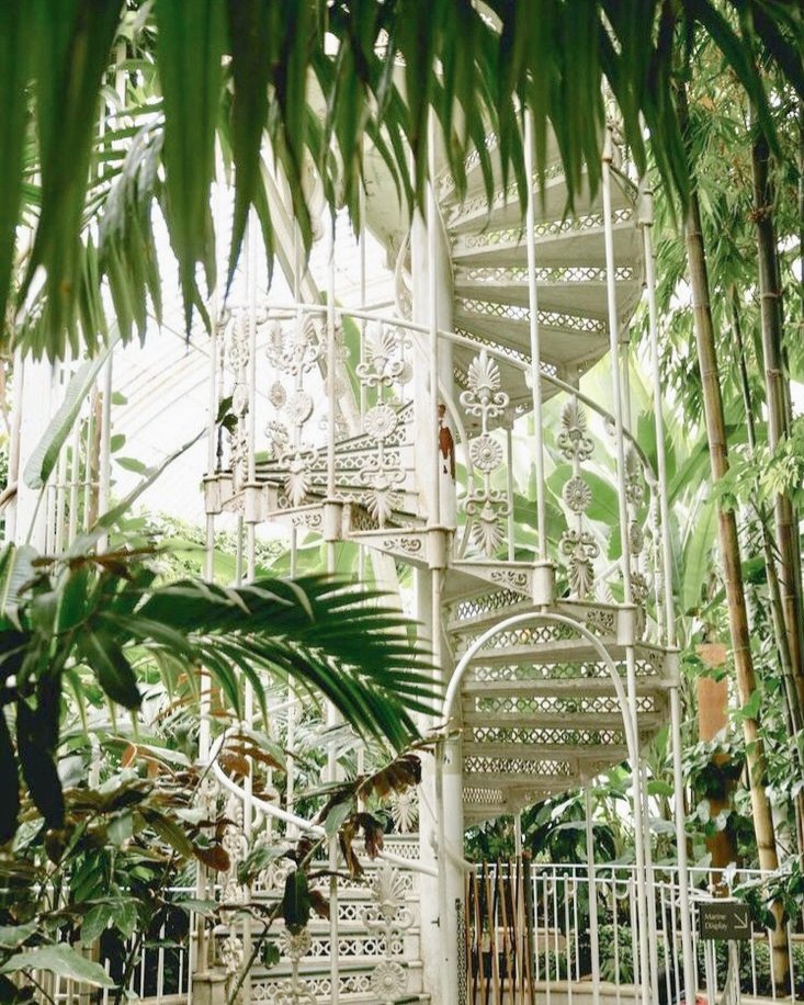 moodyonmoon's tweet photo. 🌱🌿 Greenhouse 🍃☘️ https://t.co/4d0Ooxnzcb