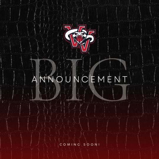 Viper Fans! We thank you for your support as we are working behind the scenes to bring basketball to the Valley. Stay tuned we have something to share with you all soon! 🫣