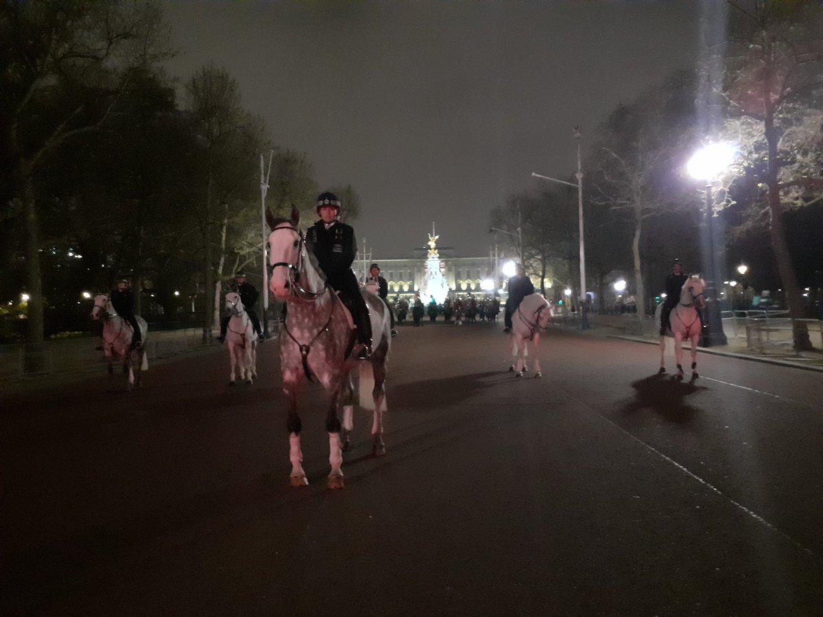 In the early hours this morning while London slept, mounted branch under the ever watchful eye of <a href="/KarenFindlayMPS/">Karen Findlay</a> worked with <a href="/HCav1660/">Household Cavalry</a> &amp; <a href="/ArmyInLondon/">The Army in London</a> to start rehearsals for #KingCharlesIIICoronation ^1509co