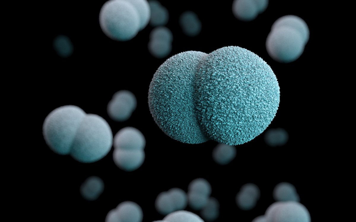 ArrayjetLtd's tweet image. This group at @GSK identified two new #meningitis antigens with roles in 4CMenB #vaccine protection - with the help of inkjet protein #microarrays for #immunoprofiling.
Read the paper >> nature.com/articles/s4154…