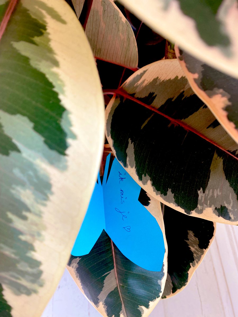 Op zondag 7 mei wandelen samen met lotgenoten verder op de Kalmthoutse Heide. We houden er ook even stil voor een passend herdenkingsritueel. 

Gratis inschrijven via: werkgroepverder.be/activiteiten/m…