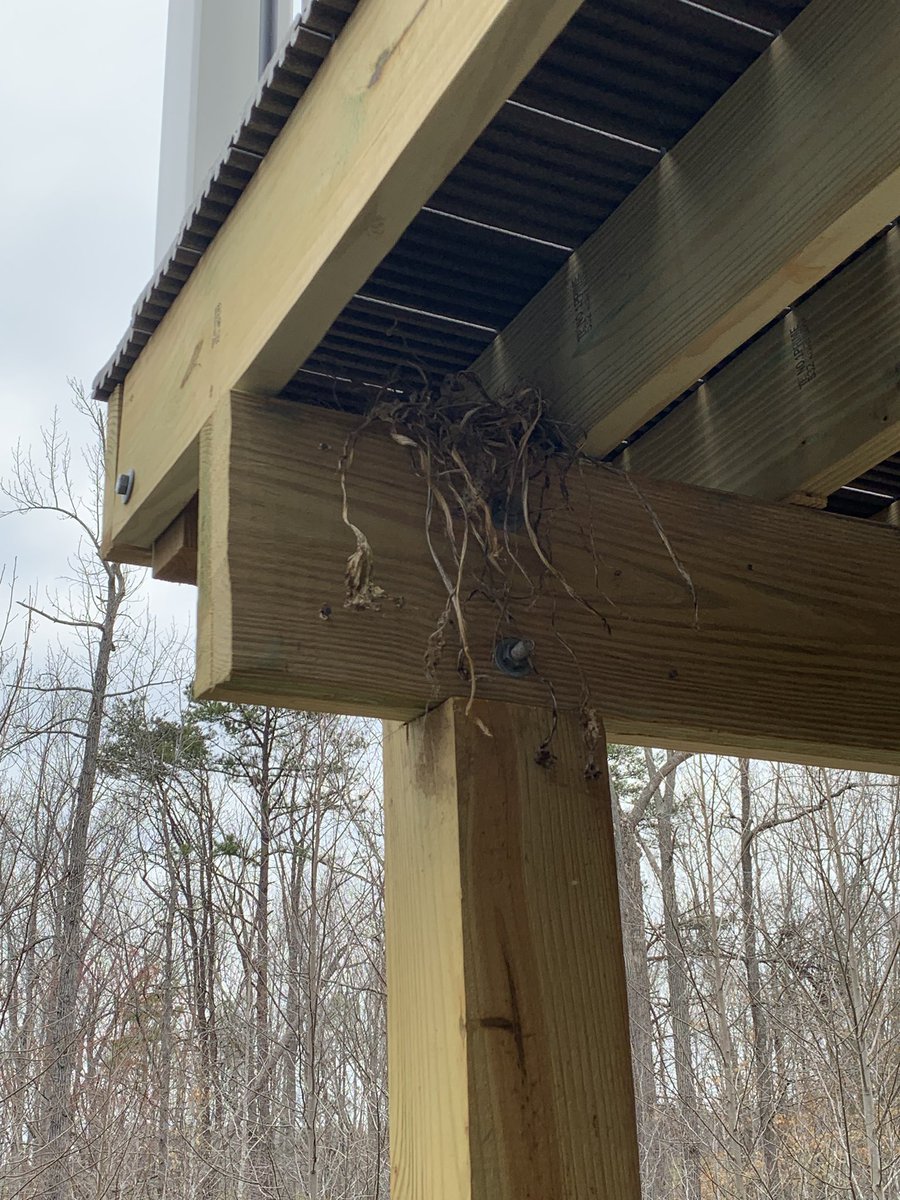 motionpirate's tweet photo. What do you do when a big box retailer rips you off?  @Lowes @bbb_us ?   Almost a year since we paid up-front to have a rotting deck replaced.  No shows and endless excuses.  Absolute nightmare. https://t.co/MZe2Oy0Hm2