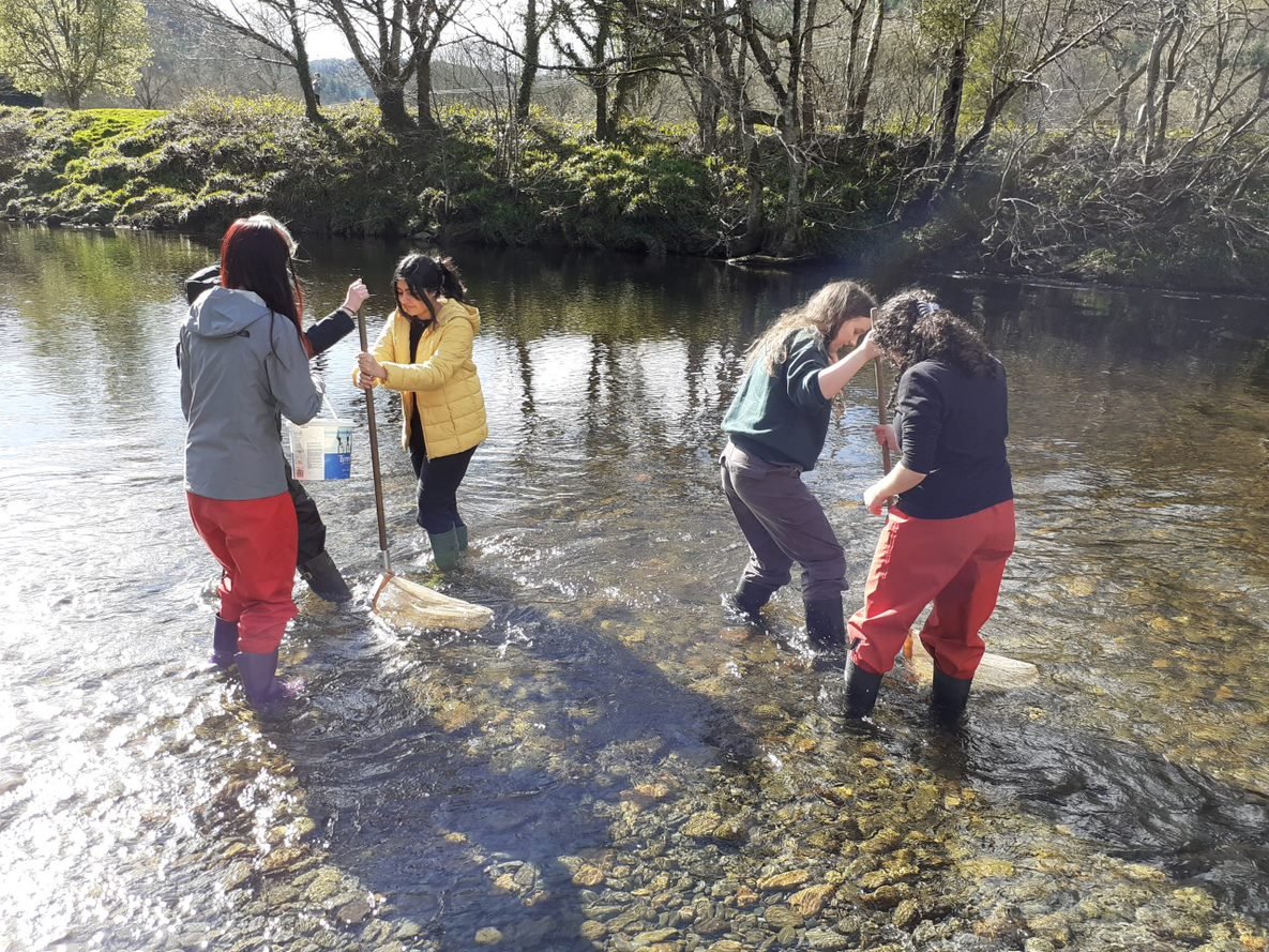 BarrowHallColl's tweet image. Year 12 Biology students have spent 3 days in Wales completing field studies in ecological sampling. They investigated freshwater invertebrates, woodland plant species and distribution of organisms on a rocky shore.