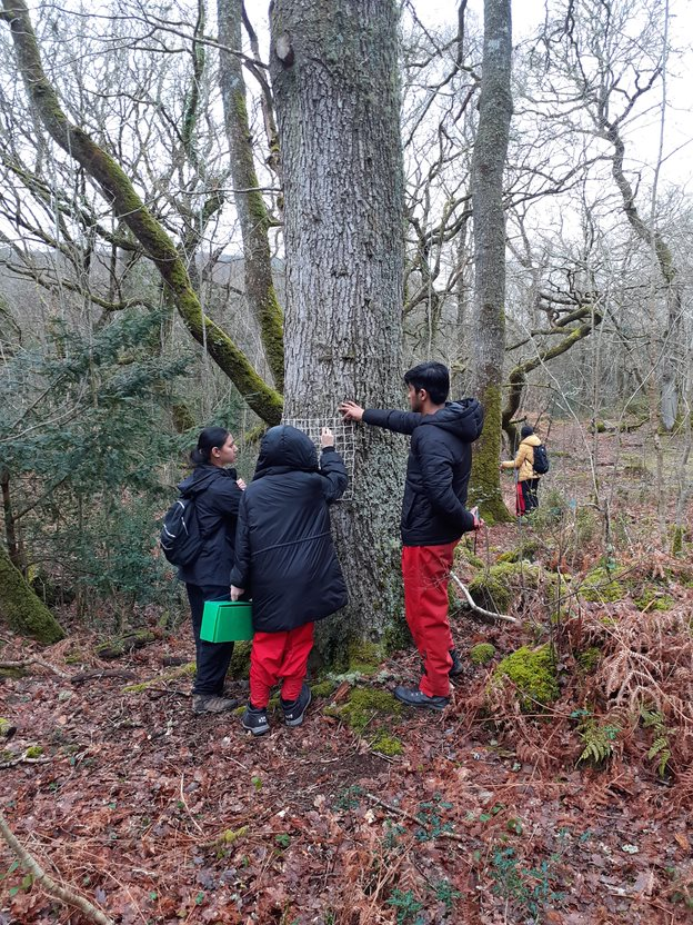 BarrowHallColl's tweet image. Year 12 Biology students have spent 3 days in Wales completing field studies in ecological sampling. They investigated freshwater invertebrates, woodland plant species and distribution of organisms on a rocky shore.