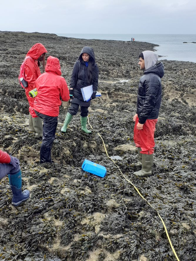 BarrowHallColl's tweet image. Year 12 Biology students have spent 3 days in Wales completing field studies in ecological sampling. They investigated freshwater invertebrates, woodland plant species and distribution of organisms on a rocky shore.