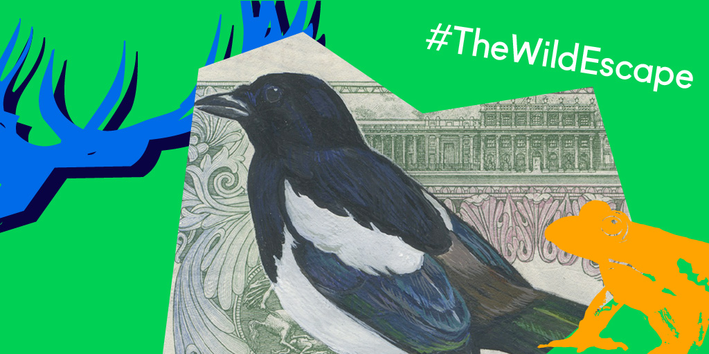 'The Magpie's Challenge' at #TalbotRice this Earth Day - Saturday, 22 April! 🌱
Combining the spirit of #TheAccursedShare and #TheWildEscape for UK wildlife, visit the gallery to participate in the activity inspired by #HannavonGoeler's 'Migration series'.