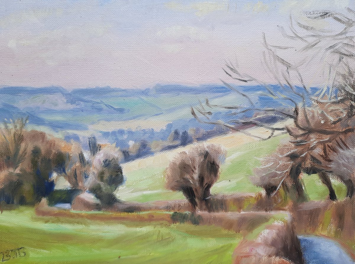 I haven't been out in a while but actually found some time this morning to do this plein oil study of Fingest Lane just down the road from me. Feeling a little rusty. Oil on linen board 18 x 24 cm.
#chilternsaonb #chilternhills #oilpainting #pleinairlandscape #landscapepainting