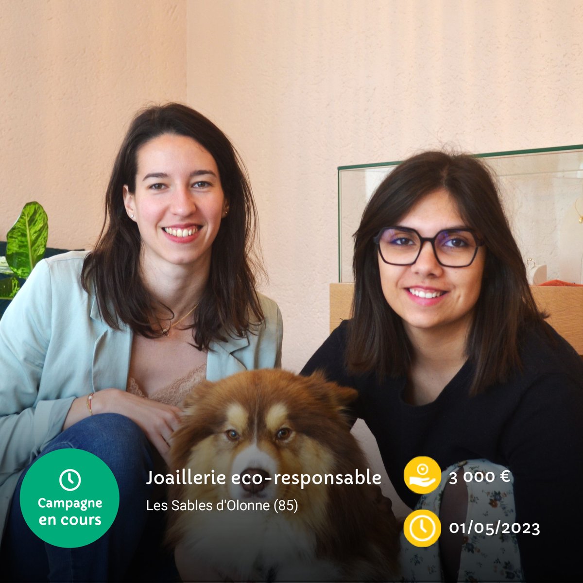 Participez à la campagne de financement participatif d’Elisa Joaillerie, une joaillerie artisanale et éco-responsable où la création de bijoux est faite sur mesure avec de l'or et de l'#argentrecyclé 👉 zeste.coop/fr/elisa-joail…  #bijouxfaitmain