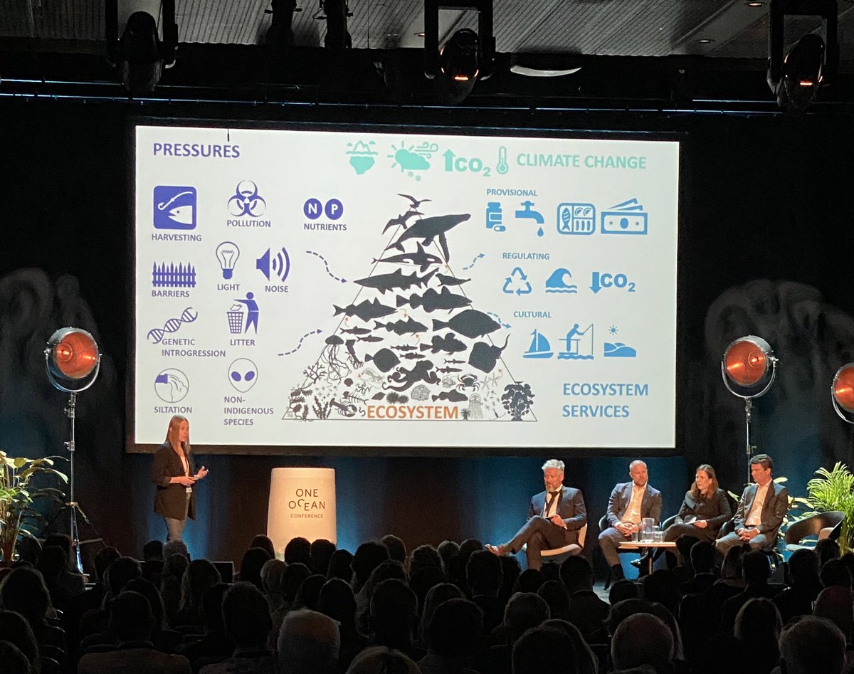 FredrikGMyhre's tweet image. «Noen havområder er viktigere enn andre og må tas vare på deretter» er tydelig melding fra Myrseth Aarflot fra @Havforskningen på #OneOceanWeek. SVOene trekkes frem.

Uten tvil! Disse må utredes mtp marint vern og områder som forskerne mener må få vern skal vernes!