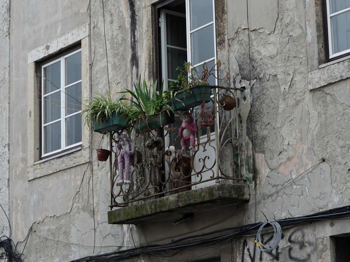 mpaganels's tweet photo. Even in the prettiest cities, you can spot sketchy and intriguing details just by turning your nose up to the hoods' balconies... What do you think about this outlandish decoration?
Lisbon, 2023
#thethreemonkeys #streetphotography #Lisbon https://t.co/8iQP6FuCLK