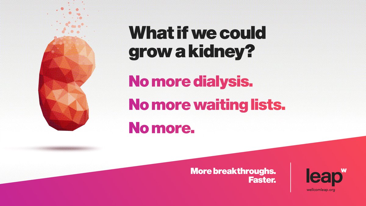 Every 14 min, someone new is added to the kidney transplant list. In the US alone. What if we could grow a fully functioning kidney and eliminate waiting lists? Follow the global team of biologists and engineers who are trying to do just that...bit.ly/3MTe2Tm #DonateLife