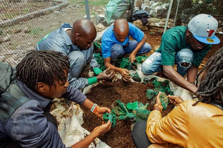 peopletheatre1's tweet photo. #Foodispolitics
Communities are now finding new sustainable ways of Growing their own Food.Our Thespians joined other Creatives from @UhaiWetu at @KombGreen to learn More on Urban and Organic Farming.#Theatre4Change.
#Foodforgrowth https://t.co/E6aIyBSmdx