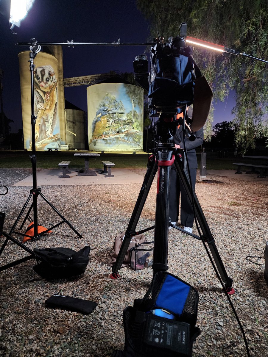 Trung Ly tweet media