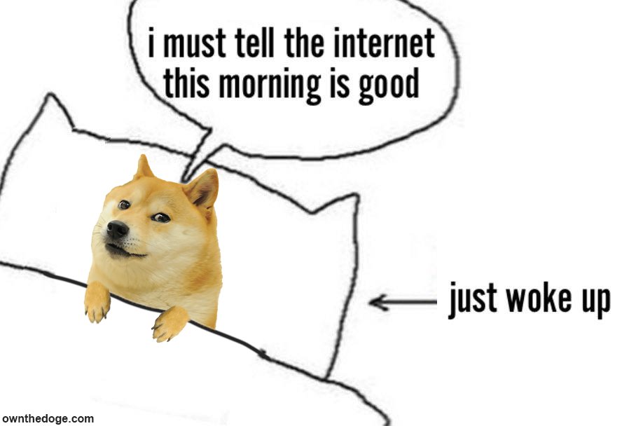 Own The Doge 🐶🖼 tweet media