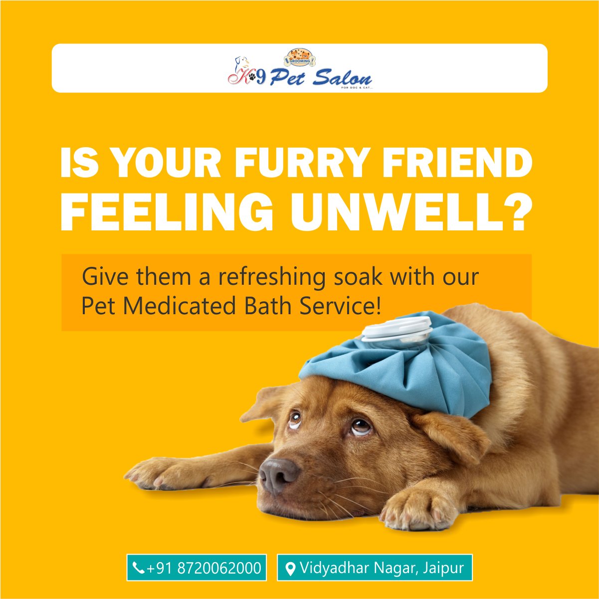 k9petsalon-jaipur-k9petsalon-twitter