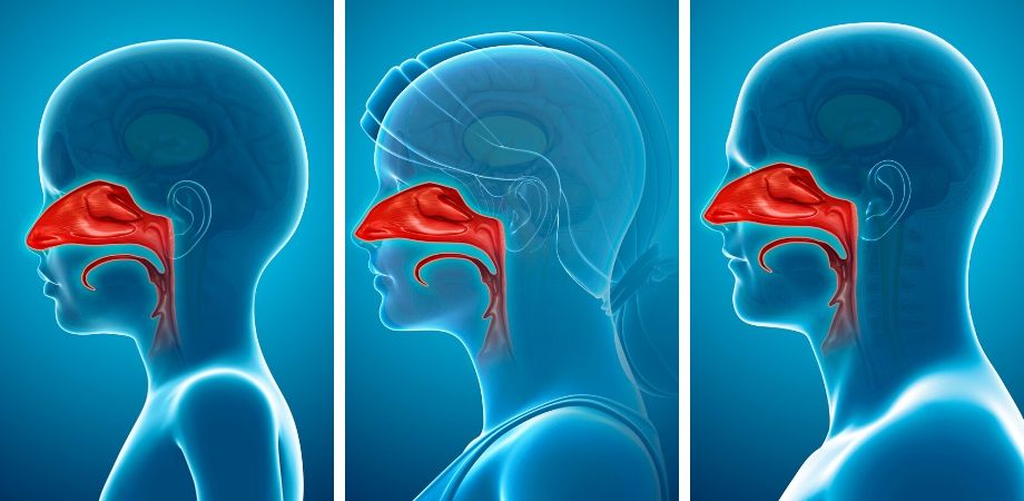 Benefits of Nasal breathing

· Filters allergens
· Improves your sleep
· Slows down breathing
· Impr