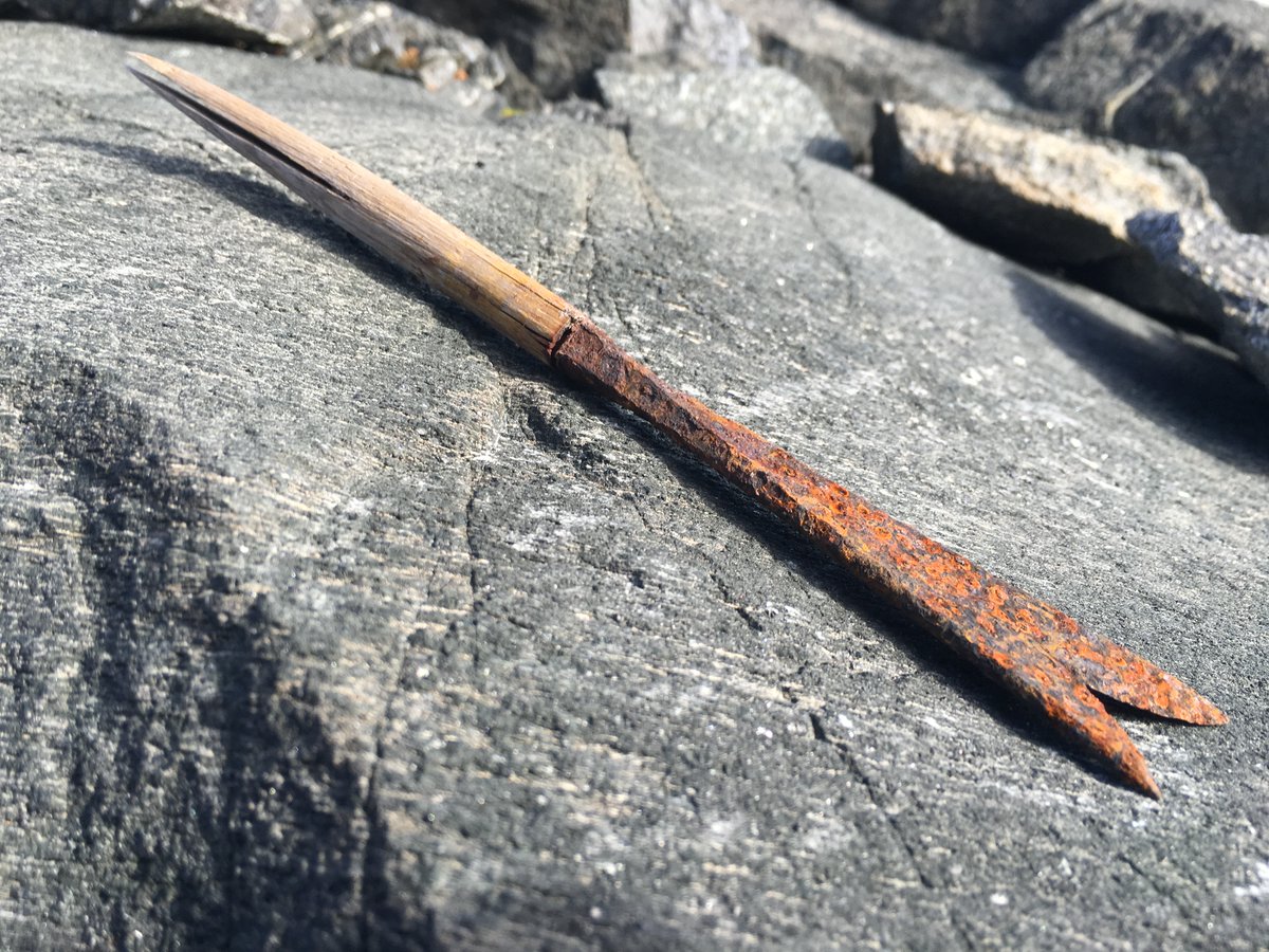 A unique find: A forked iron arrowhead, mounted on a short foreshaft. So far, we have only found two forked arrowheads from the ice, and foreshafts are also very rare. The combination of these two elements makes this a special find. The arrow is dated to the Early Viking Age.