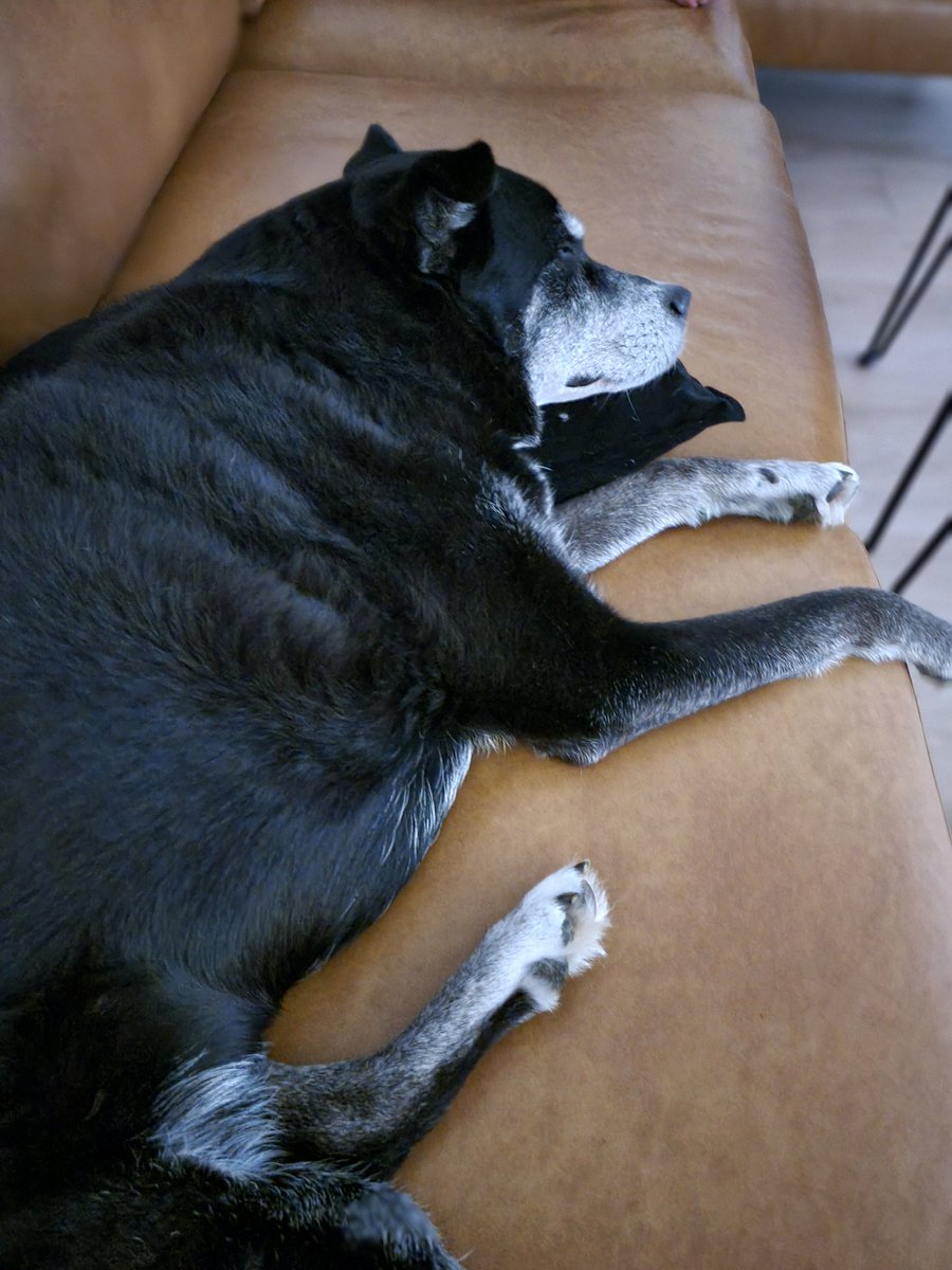 Kylee Dunham tweet media