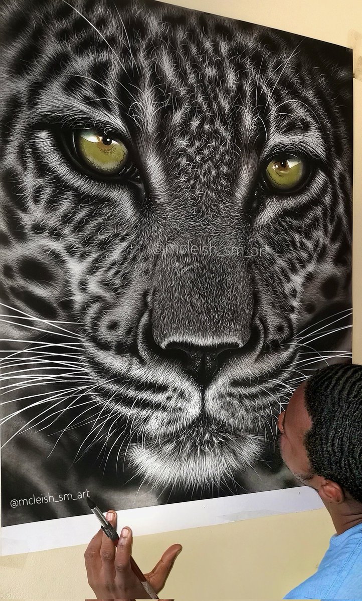 ShanfieldM's tweet image. Hello! 🙋‍♂️. I am a PENCIL ARTIST based in Zimbabwe. These are the works of my hands 😊.
