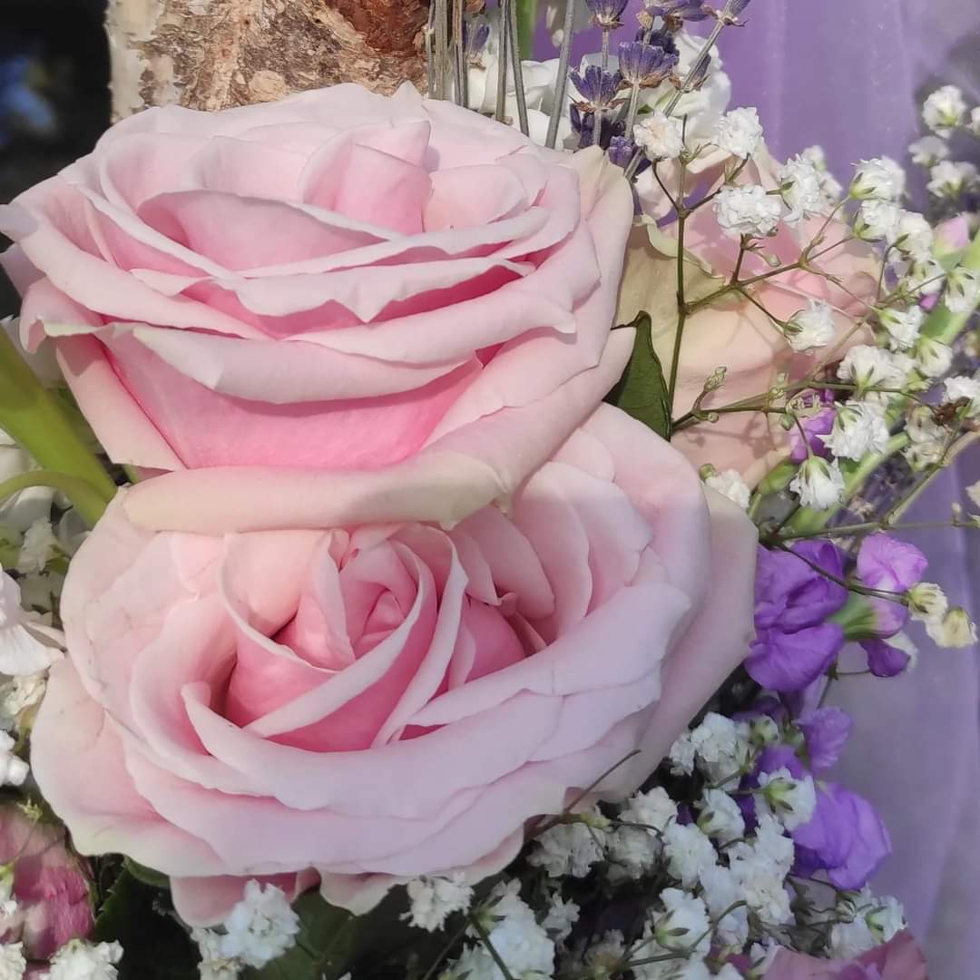 LilieSegato's tweet photo. Mariage de J&amp;L 14/05/22
En collaboration avec manue.marino

Cérémonie laïque et réception dans un lieu exceptionnel, vue mer @residenceducapbrun 
@gaudefroyreceptions 

#mariageprovence  #ceremonielaique #weddingflowers 
#bridalbouquet #arborflowers 
#southoffrance #frenchriviera https://t.co/J9DtwE5388