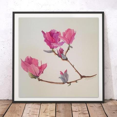 #Magnolia, #Springtime, #Magnoliasoulangeana, #ArtistOnTwitter , #Springflowers, 👩🏻‍🎨💋
