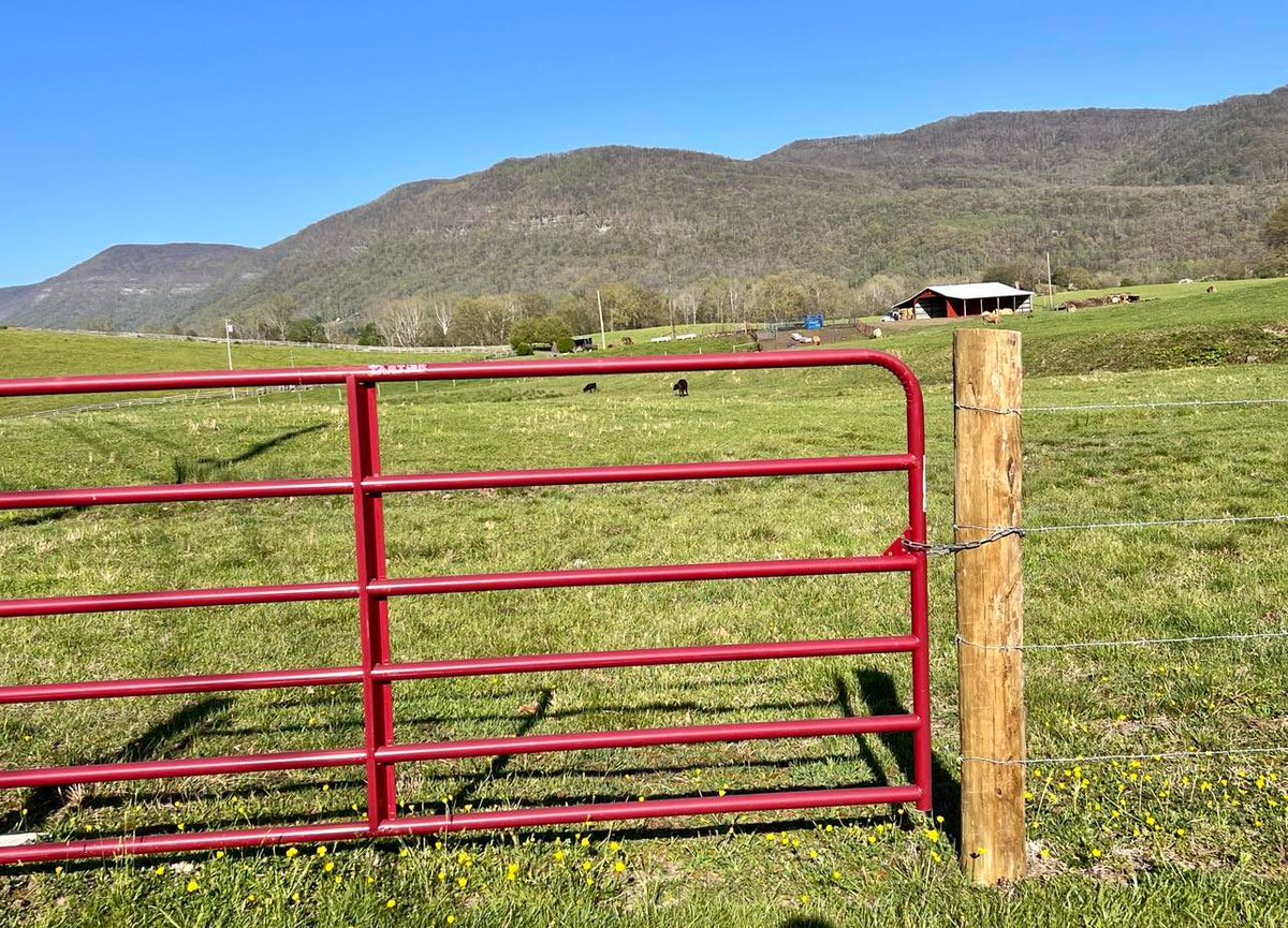 We sure are glad to see warm weather and the mountains greening back up! Who all is excited to see the reutrn of the leafy green mountains?
Photo by John Schoolcraft

#BigTimeFunSmallTownPackage
#loveva
#vaoutdoors