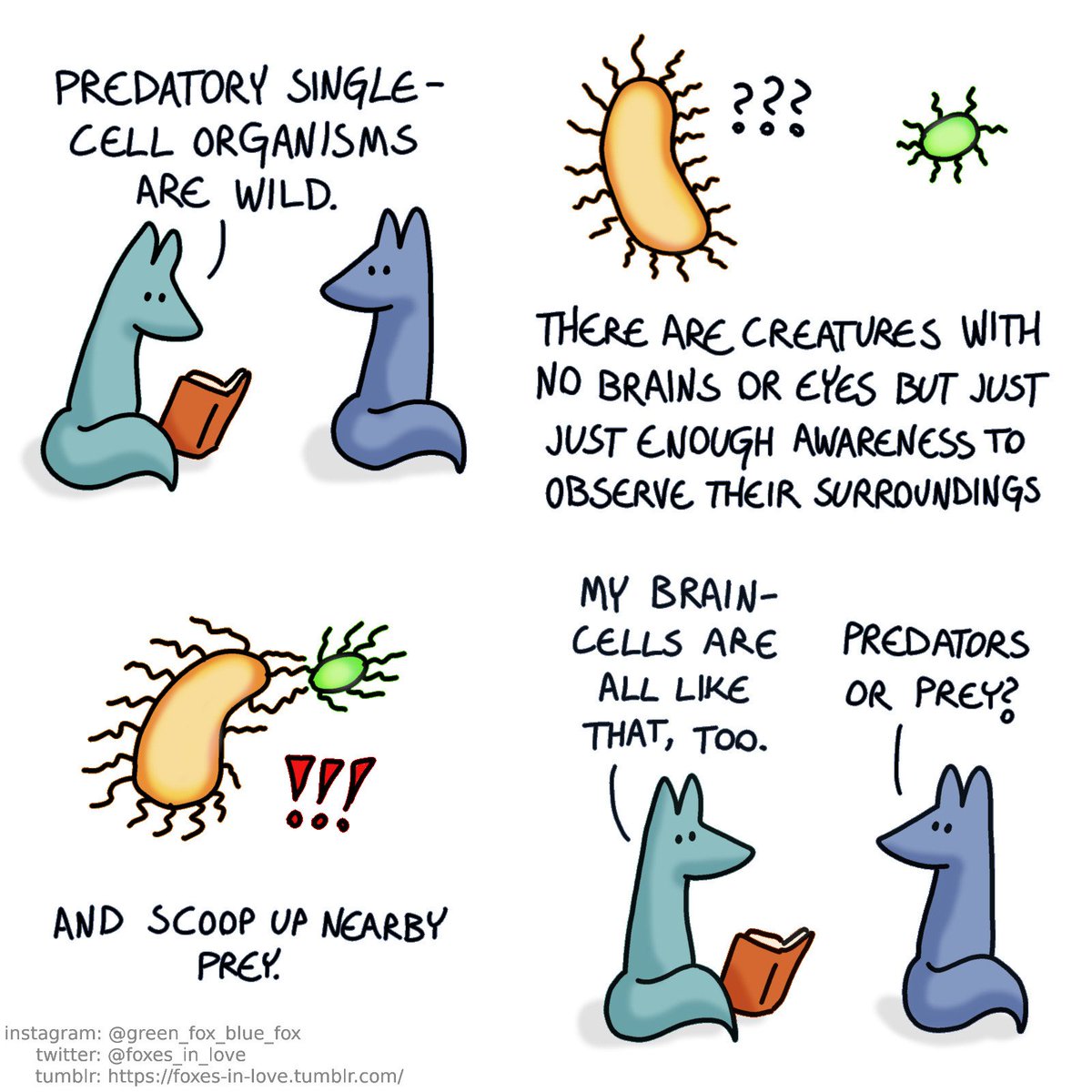 What Are Free Living Single Cell Organisms