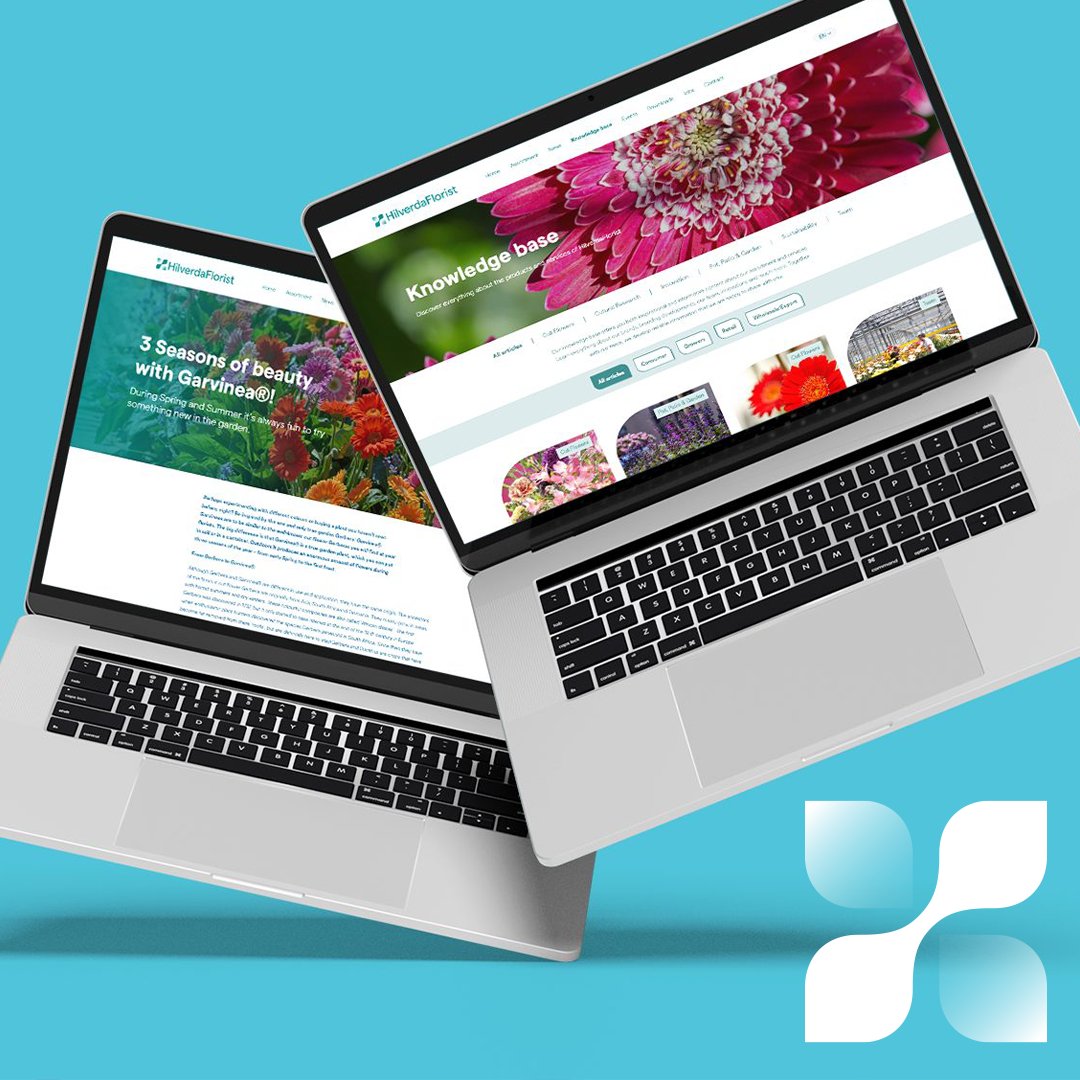HilverdaFlorist now offers a digital #knowledgebase , aimed at providing a wealth of information and expertise to the entire market! 

Discover a wide range of topics now: hilverdaflorist.com/knowledge-base/