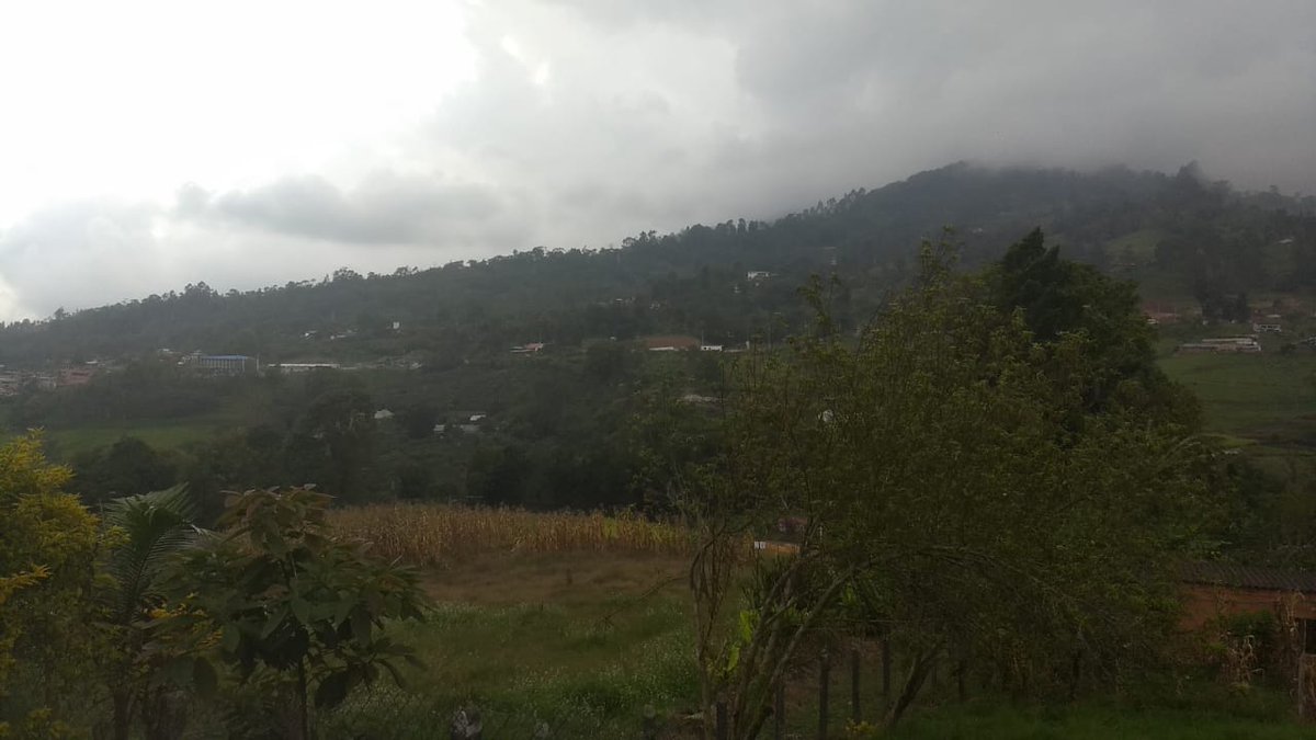 avitxin's tweet photo. #veredaelvergel #Subia #Sumapaz
La tierrita de mis ancestros. https://t.co/hNCKV5UQt9