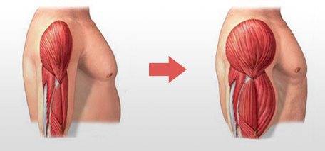 Nate_D_Stone's tweet photo. You want to lose fat, not muscle mass.

10 steps to help you lose fat while maintaining &amp; gaining muscle mass. https://t.co/c6JQvqP5pR